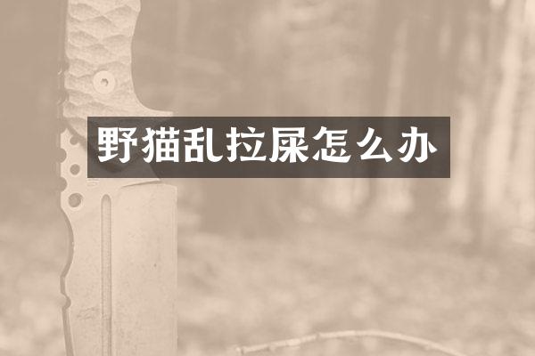 野猫乱拉屎怎么办