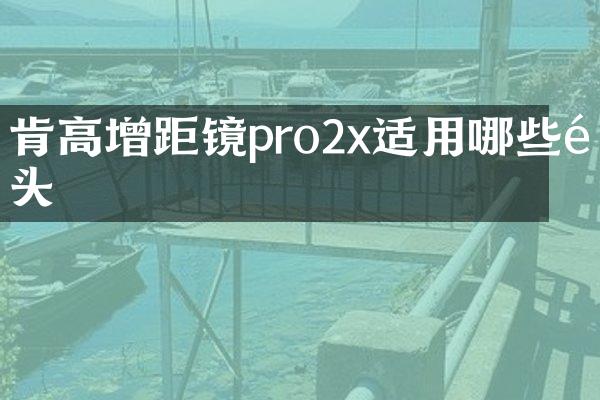 肯高增距镜pro2x适用哪些镜头