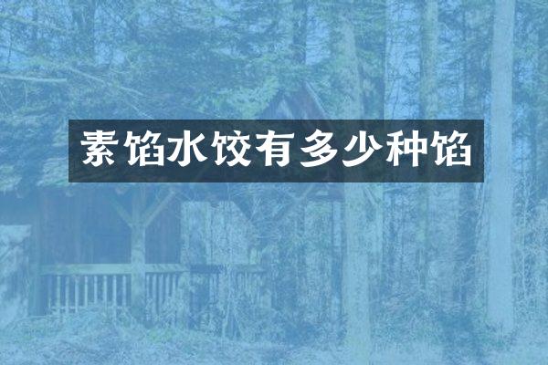 素馅水饺有多少种馅