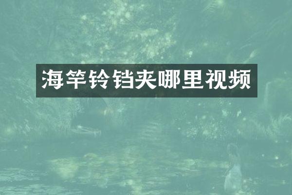 海竿铃铛夹哪里视频