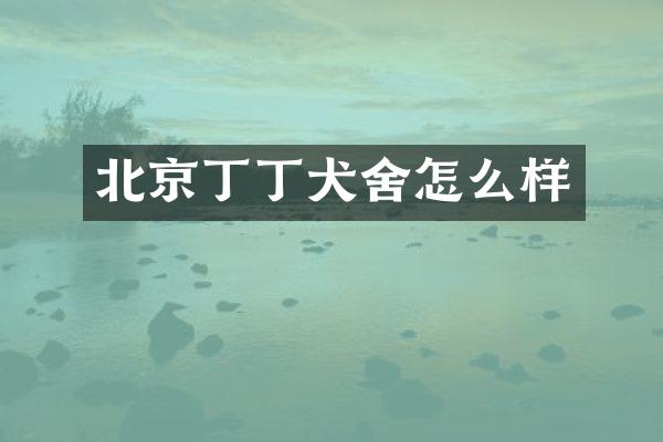 北京丁丁犬舍怎么样