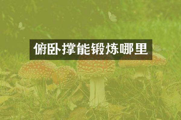 俯卧撑能锻炼哪里