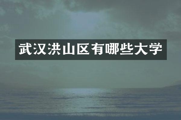 武汉洪山区有哪些大学