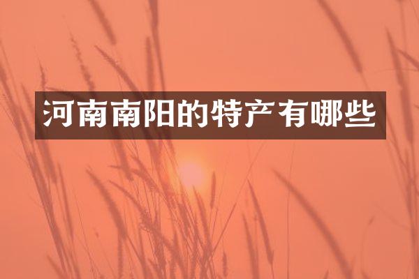 河南南阳的特产有哪些