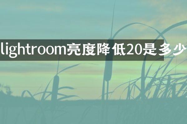 lightroom亮度降低20是多少