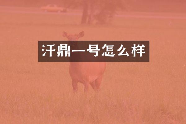 汗鼎一号怎么样