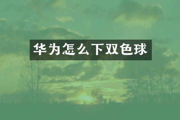 华为怎么下双色球