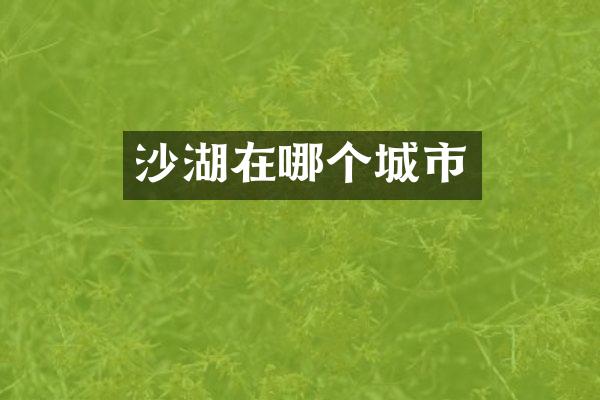 沙湖在哪个城市