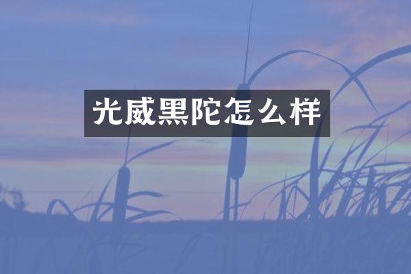 光威黑陀怎么样