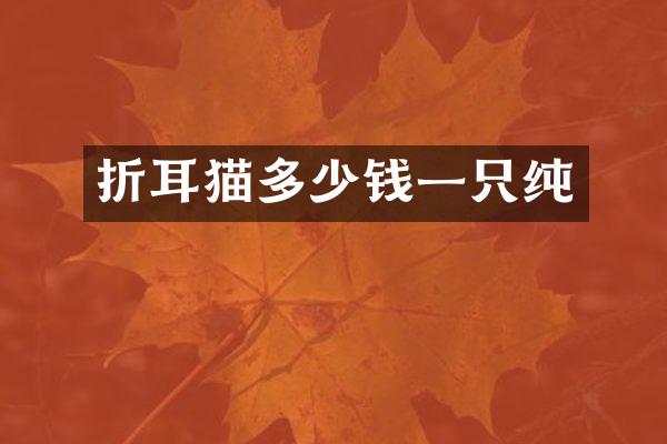 折耳猫多少钱一只纯