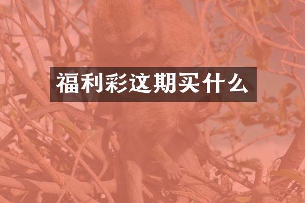 福利彩这期买什么