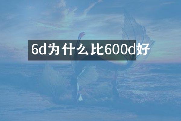 6d为什么比600d好