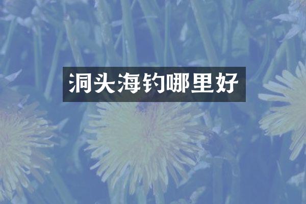 洞头海钓哪里好