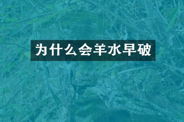 为什么会羊水早破