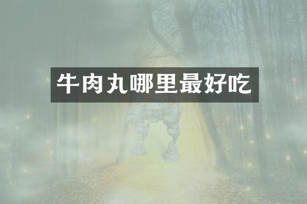 牛肉丸哪里最好吃