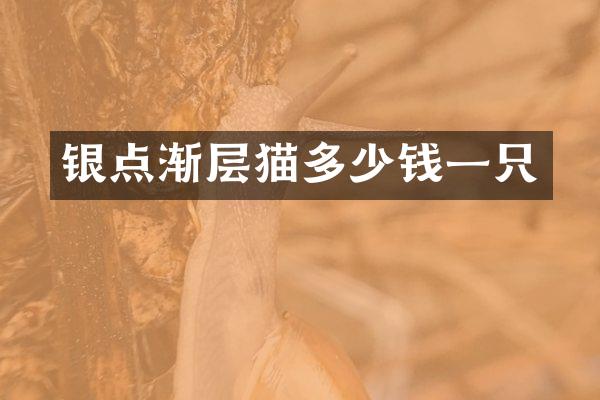 银点渐层猫多少钱一只