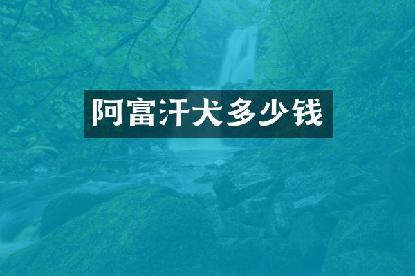 阿富汗犬多少钱