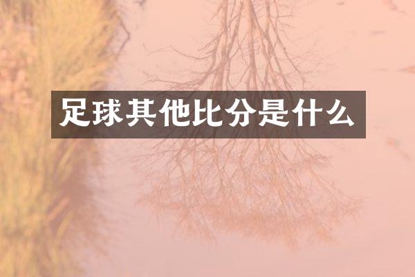 足球其他比分是什么
