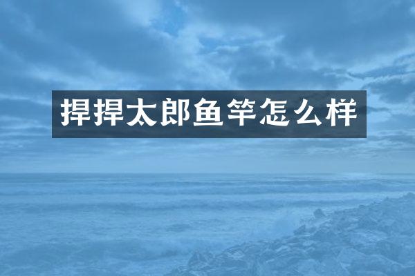 捍捍太郎鱼竿怎么样
