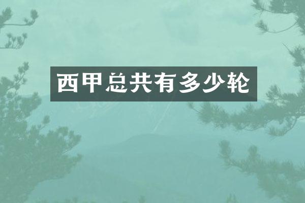 西甲总共有多少轮