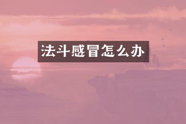 法斗感冒怎么办