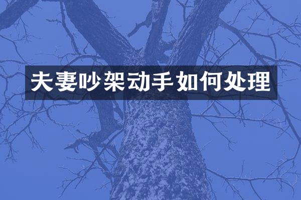 夫妻吵架动手如何处理