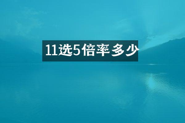 11选5倍率多少