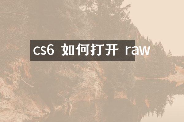 cs6 如何打开 raw