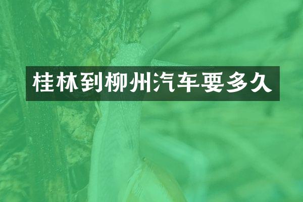 桂林到柳州汽车要多久
