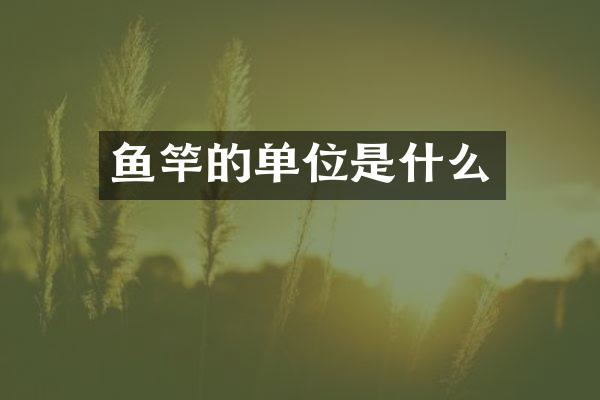 鱼竿的单位是什么