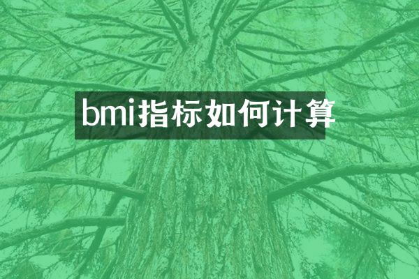 bmi指标如何计算