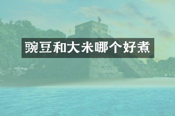 豌豆和大米哪个好煮