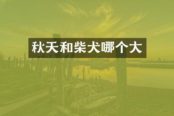 秋天和柴犬哪个大