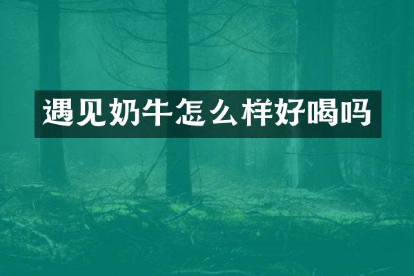 遇牛怎么样好喝吗