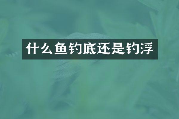什么鱼钓底还是钓浮
