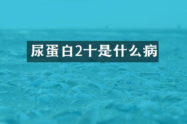尿蛋白2十是什么病