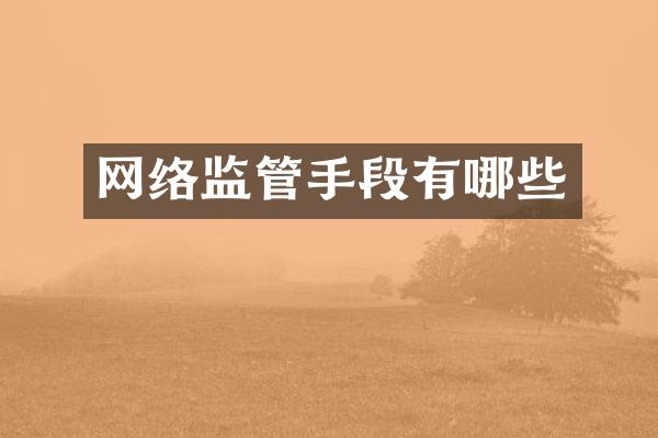 网络监管手段有哪些