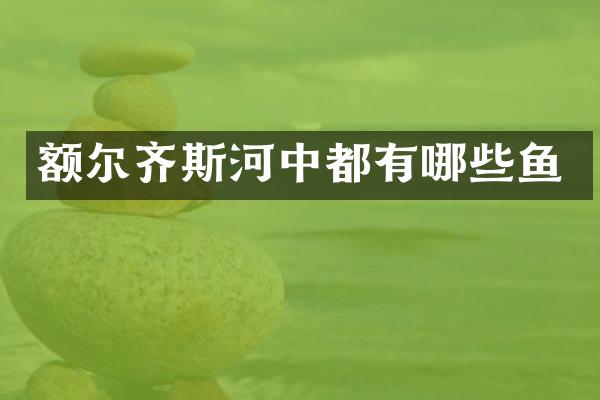 额尔齐斯河中都有哪些鱼