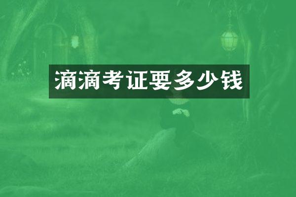 滴滴考证要多少钱