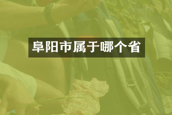 阜阳市属于哪个省