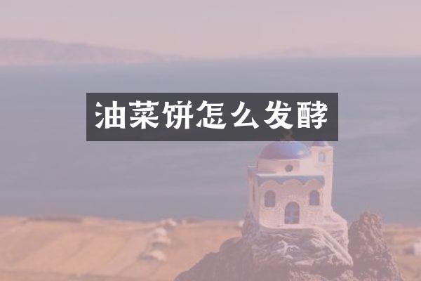 油菜饼怎么发酵