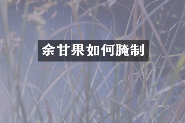 余甘果如何腌制