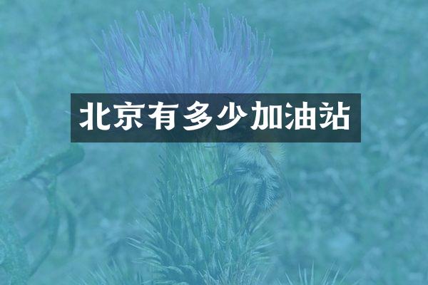 北京有多少加油站