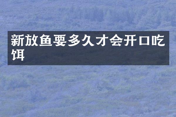 新放鱼要多久才会开口吃饵