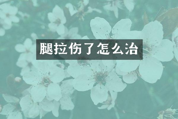 腿拉伤了怎么治