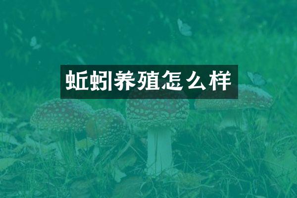 蚯蚓养殖怎么样