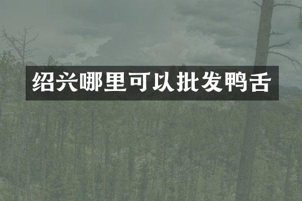 绍兴哪里可以批发鸭舌
