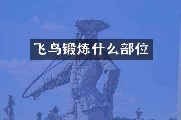 飞鸟锻炼什么部位