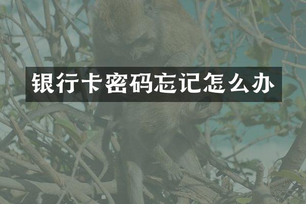 银行卡密码忘记怎么办