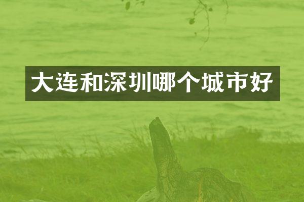 大连和深圳哪个城市好